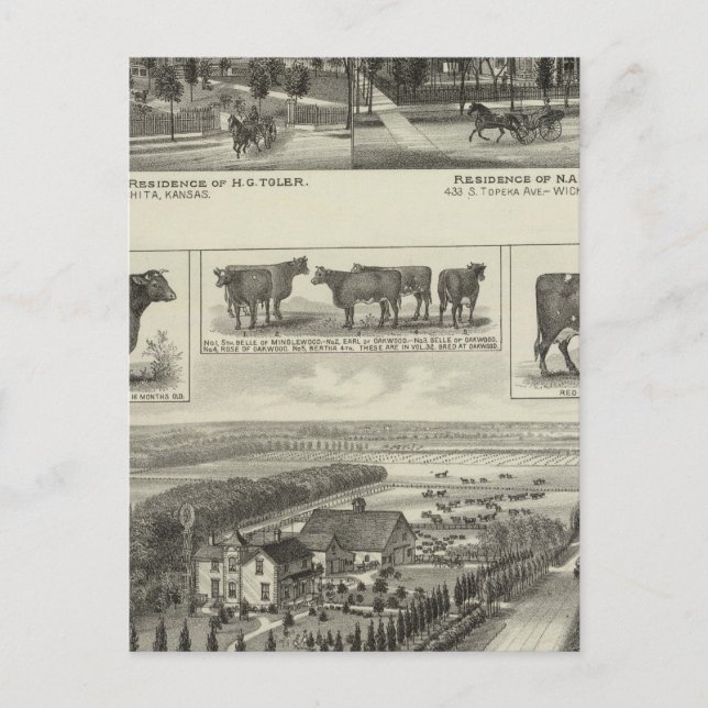 Residenzen und Zuchtbetrieb, Wichita, Kansas Postkarte (Vorderseite)