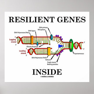 Resiliente Gene im Inneren (DNA-Replikation) Poster