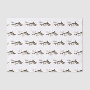 Respektieren Sie das örtliche Hammerhead Shark Fun Seidenpapier