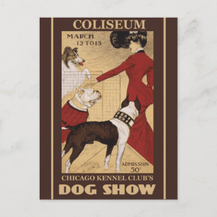 Restaurierter Vintager Chicago Kennel Club Postkarte