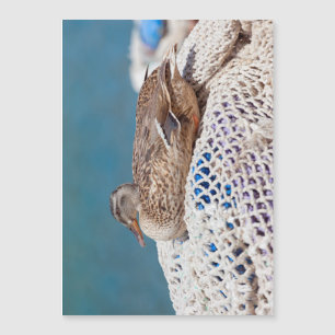 Restente Magnetkarte