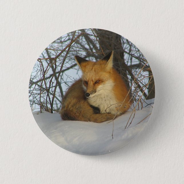 Restfuchs Button (Vorderseite)