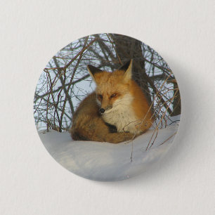 Restfuchs Button