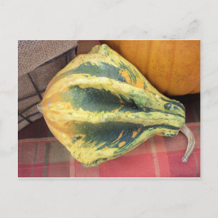 Resting Gourd Postkarte