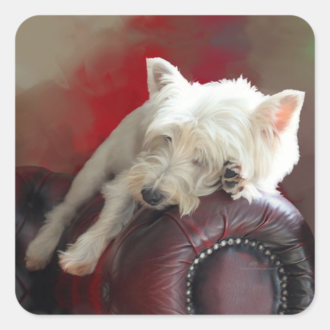 Resting Westie Quadratischer Aufkleber (Vorderseite)