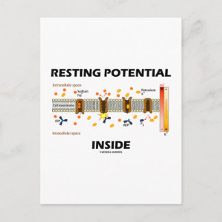 Restpotential Inside (Natriumkaliumpumpe) Postkarte