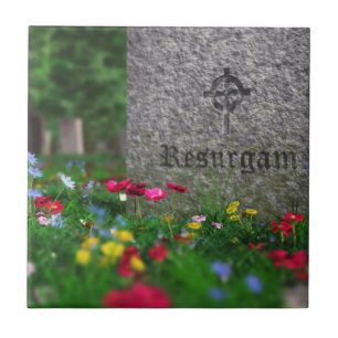 Resurgam Decorative Tile Fliese