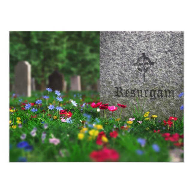 Resurgam Foto Print (Vorne)