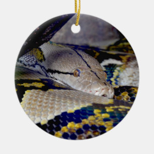 Reticulated Python Snake Keramik Ornament