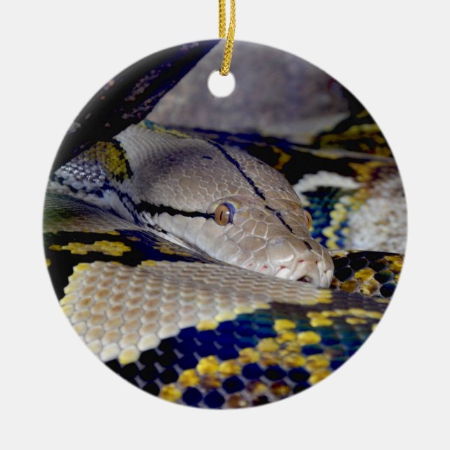 Reticulated Python Snake Keramik Ornament (Vorne)