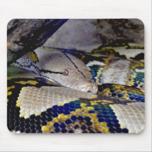 Reticulated Python Snake Mousepad