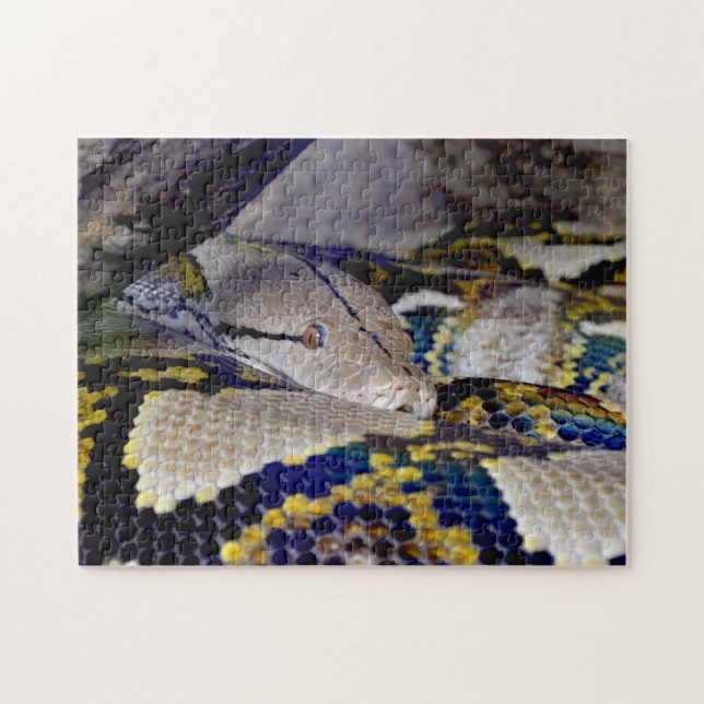Reticulated Python Snake Puzzle (Horizontal)