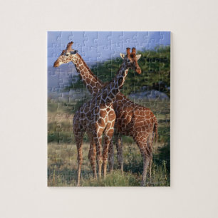 Retikulierte Giraffe 2 Puzzle