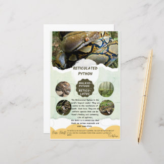 Retikulierte Python-Care-Tabelle