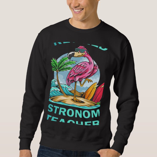 Retired Astronomy Teacher Flamingo Sweatshirt (Vorderseite)