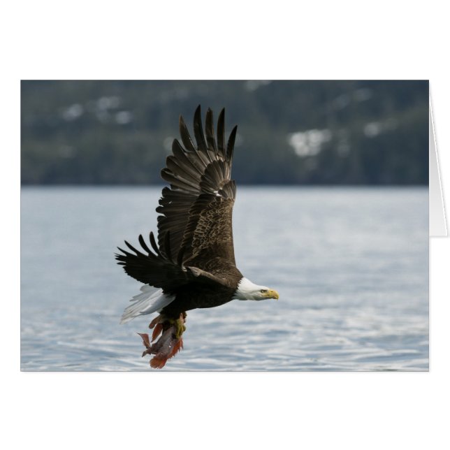 Retrieval (Vorderseite (Horizontal))