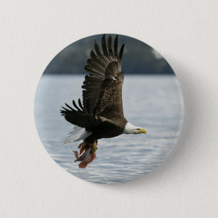 Retrieval Button