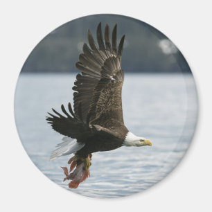 Retrieval Magnet