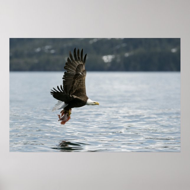 Retrieval Poster (Vorne)