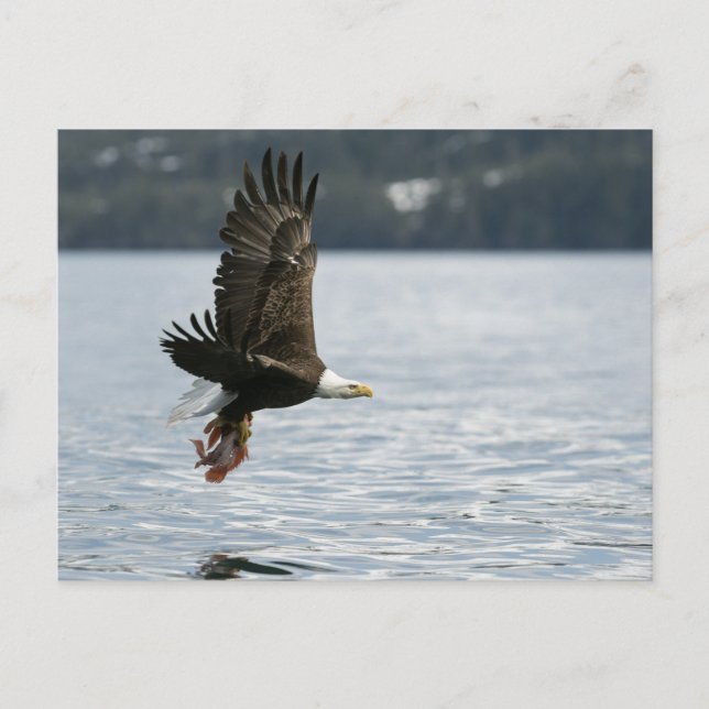 Retrieval Postkarte (Vorderseite)