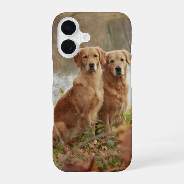 Retriever Freunde iPhone 16 Hülle (Rückseite)