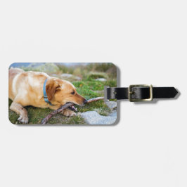 Retriever Gepäckanhänger