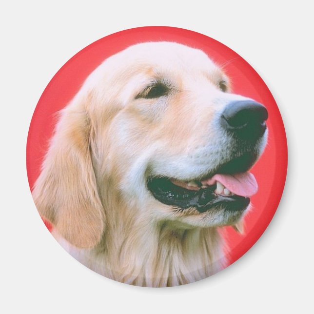 Retriever Panting Magnet (Vorne)