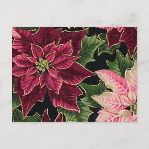 Retro 50s Poinsettia Burgundy Pink Postkarte