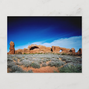 Retro-Amerikanische Landschaftspostkarte Postkarte