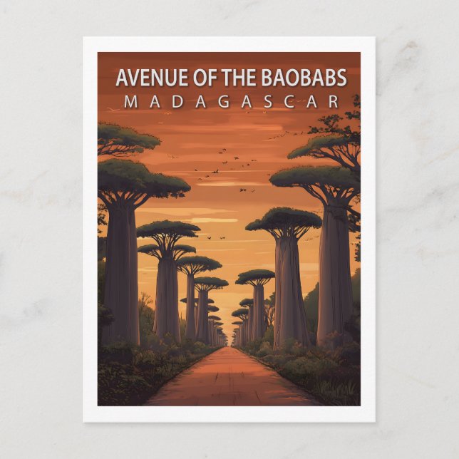 Retro Avenue of the Baobabs Madagascar Nature Postkarte (Vorderseite)