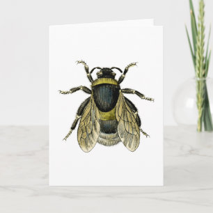 Retro Bee Antique Illustration Schwarz und Gelb Karte