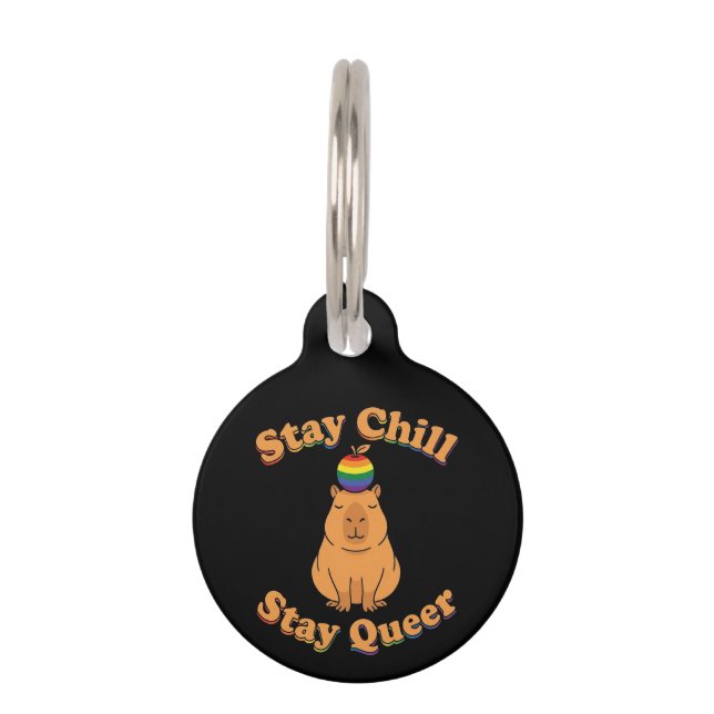 Retro Bleib Chill Bleib Queer Capybara Regenbogen  Haustiermarke (Vorderseite)