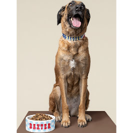 Retro Blue White Checkered Doppy Cat Name Food Napf