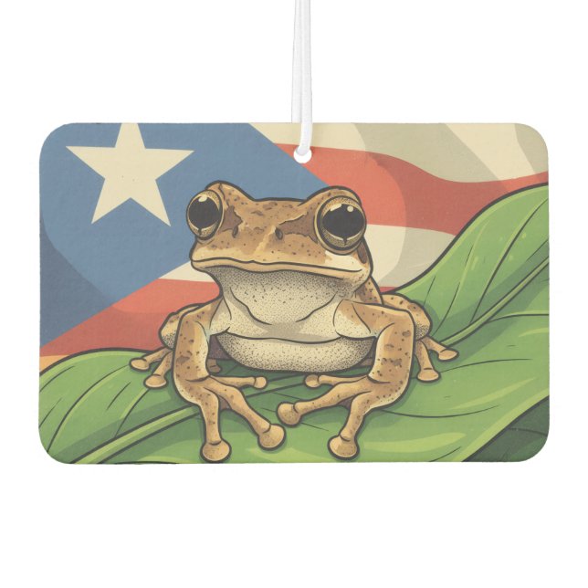 Retro Boricua Pride Poster Autolufterfrischer (Vorderseite)