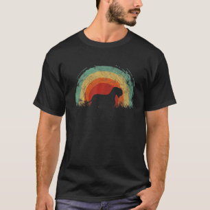 Retro Cesky Terrier Vintager Regenbogen Hunde Männ T-Shirt