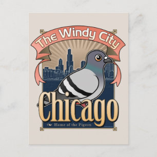 Retro Chicago Pigeon Postkarte