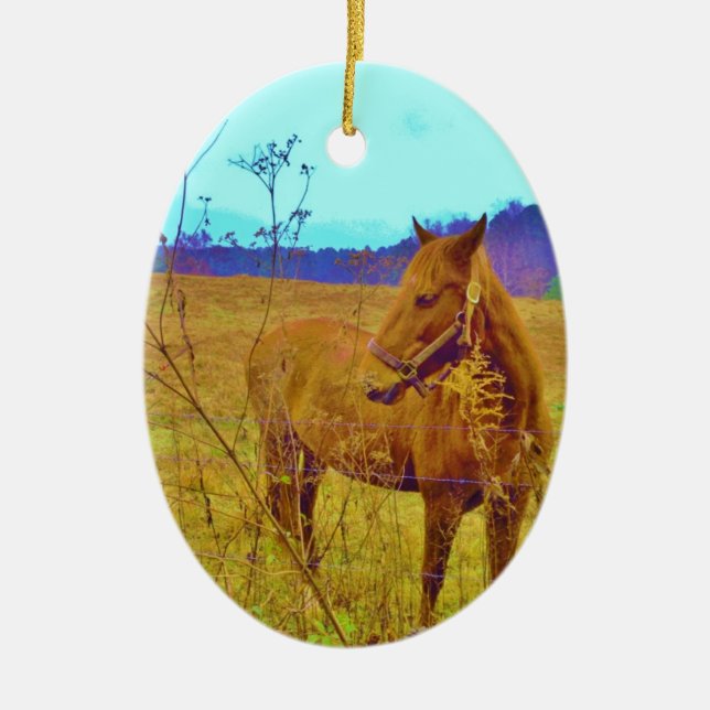 Retro Colored Horse Keramik Ornament (Vorne)