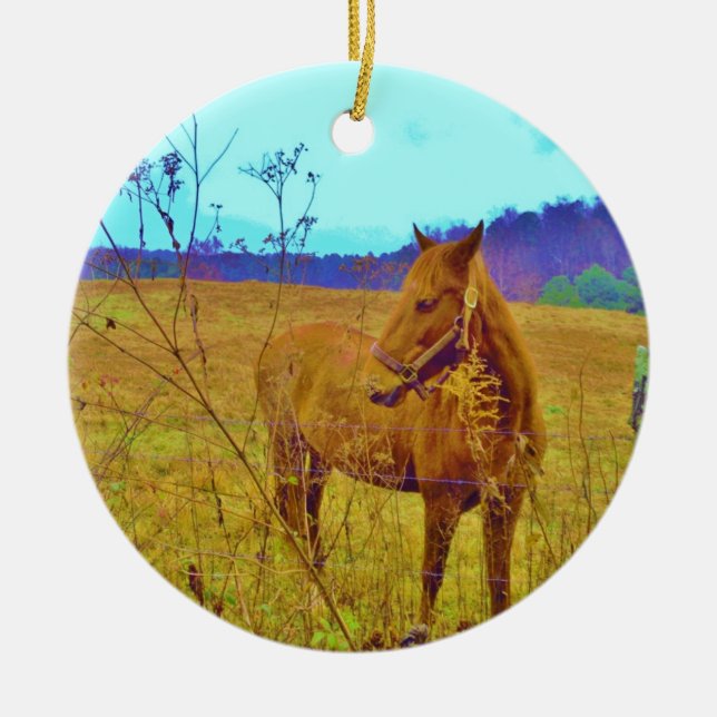 Retro Colored Horse Keramikornament (Vorne)