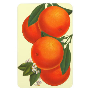 Retro Crate Art Orange Magnet