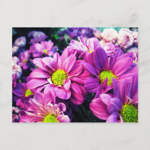 Retro Daisies I Postkarte