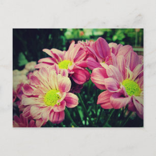 Retro Daisies II Postkarte
