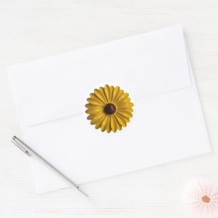 Retro Daisy Blume Spring Summer Garden Wedding Runder Aufkleber