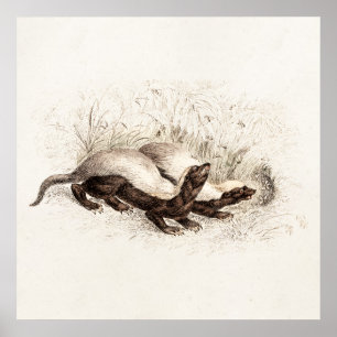 Retro der Vintagen Honig-Badger-Bienenstock-Vorlag Poster