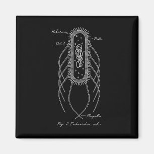 Retro E. Coli schematisches Diagramm Mikrobiologie Magnet