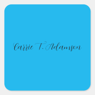 Retro Elegant Schlicht Sky Blue Calligraphy Name Quadratischer Aufkleber