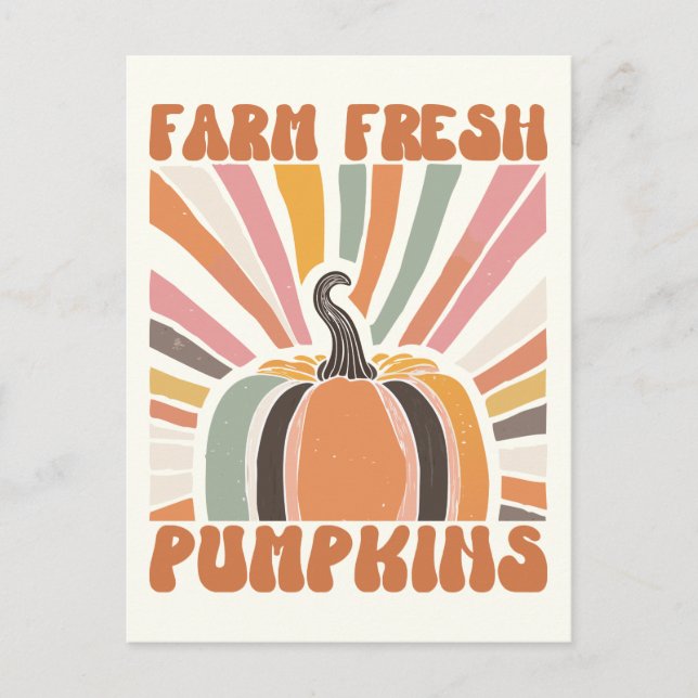 Retro Farm Fresh Pumpkins Postkarte (Vorderseite)