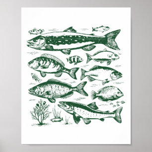 Retro Fischarten Biologie Arten von Süßwasserfisch Poster