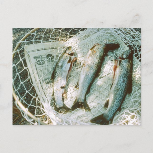 Retro Fishing Net und Foreut Postcard Postkarte (Vorderseite)