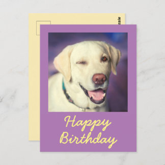 Retro Funny Dog und Happy Birthday Postcard Postkarte