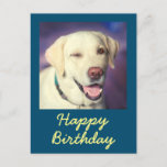 Retro Funny Dog und Happy Birthday Postcard Postkarte<br><div class="desc">Es ist der Retro Funny Dog und Happy Birthday Postcard. Der niedliche Retrivenwinker ist schön. Sie können Ihre Nachrichten einfügen. Das wird deinen Freund zum Lachen bringen. Das wird ein bedeutendes Geschenk und macht Ihren Freund zum Lachen. Überbringen Sie herzlichen Glückwunsch jetzt und Seien Sie einer der wenigen.</div>